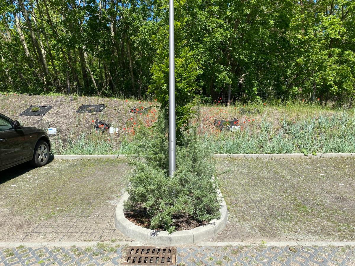 Apartpark Albus1 Swinoujscie Luaran gambar